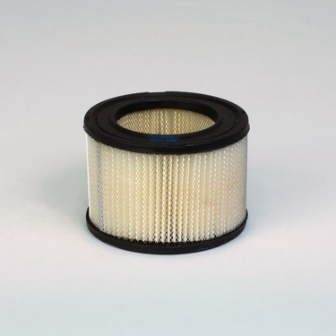 Donaldson P606075 Air Filter