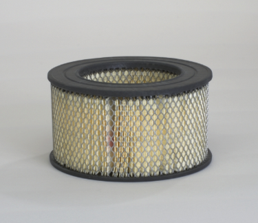 Donaldson P607295 Air Filter