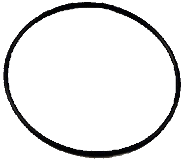 WIX 15169 Gasket