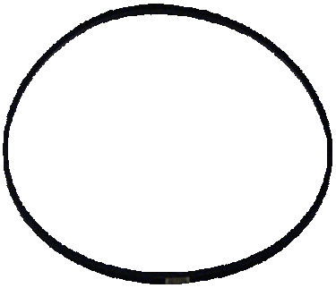 WIX 15178 Gasket