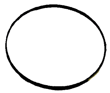 WIX 15201 Gasket