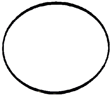 WIX 15127 Gasket
