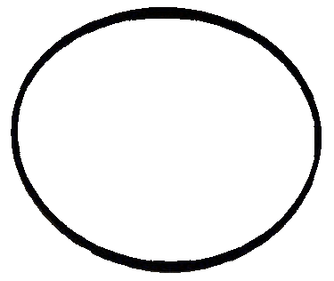 WIX 15151 Gasket