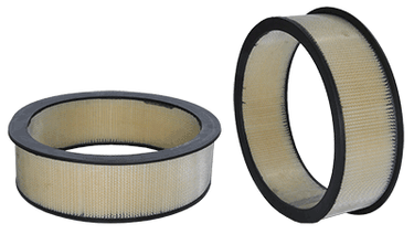 WIX 42060 Air Filter