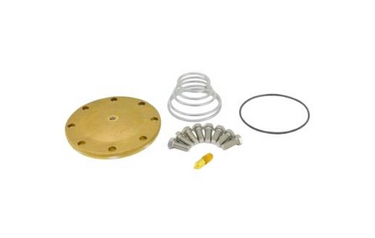 Emerson Flow Control (Alco) 65973 BTAS 5 Repair Kit