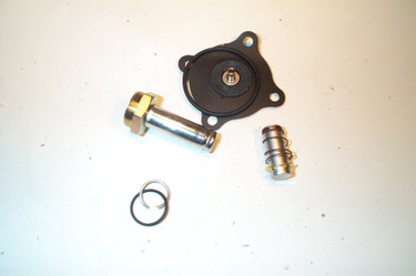 Asco 316-669 ASCO REPAIR KIT