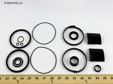 Bray 92-0920-21903-536 Seal and Bearing Repair Kit