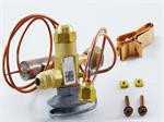 Carrier EA36DC346 Expansion Valve
