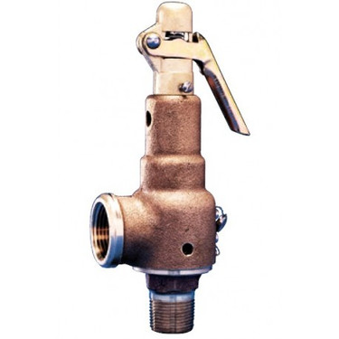 Kunkle Valve 6021DCT01-AM0100 1/2"x3/4", 100# 644PPH, StmRlf