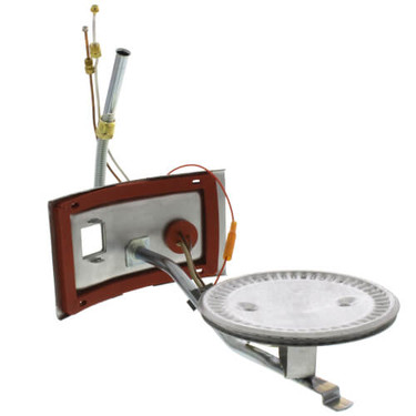 Rheem-Ruud AM41879 Burner Assembly