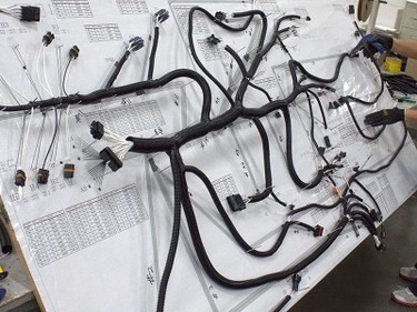 ClimateMaster S11P0062N02 Wiring Harness