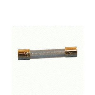 York 025-14019-000 5 Amp Fuse; 1Pc