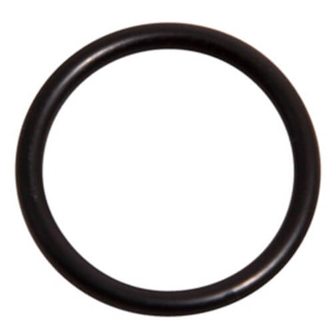 Lochinvar & A.O. Smith 100076307 O-RING FKM