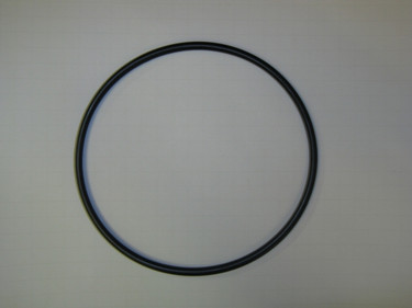 Neptronic SWG2101  EVAP CHAMBER GASKET