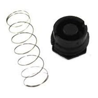 Rheem-Ruud 607017 Gas Valve Spring Kit