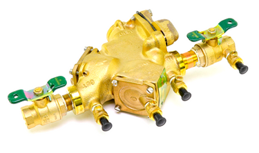 Watts 391005 009M2QT-1 1/4" BackflowPrevent