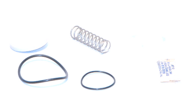 Watts 887120 FirstChkKit;RK909CK1 3/4-1"