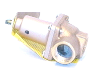 Watts 274513 174A-3/4-50# RELF 950000BTU