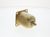 Johnson Controls SEP91A-603R Replcmt Power Element 1"-1.5"