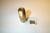 Johnson Controls T-800-1610 Adapt Nut 1/2" Mpt B-Bulb