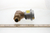 Johnson Controls VG7251LS3801B 3/4" Unglobe No 7.3Cv 3-6#