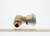 Johnson Controls VG7251LS3801D 3/4" Unglobe No 7.3Cv 4-8# Brass