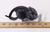 Nordyne 632515R Pressure Switch
