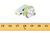 Carrier HK02LB008 Pressure Switch