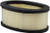 Baldwin PA30029 Oval Air Element