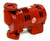 Xylem-Bell & Gossett 1BL006 PL36-C.I. 1/6HP 230V CIRC PUMP