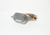 Johnson Controls VG7251GS+3801B 1/2"NO UnGlobe 3-6# 4.6cv