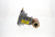 Johnson Controls VG7241LT+3008D 3/4" 2W NO 4-8# 7.3CV