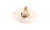 Carrier HH18HA505 Limit Switch