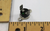 Carrier HH18HH130 Limit Switch