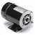 Regal Rexnord - Century Motors BN23V1 Motor 48FR