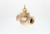 Belimo G240B-N Globe Valve 1.5" 2W 28 Cv