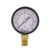 Caleffi NA10363  PressGage 0-60# 1/4"Lower