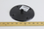 York Controls S1-024-34554-000 6.75" Rain Shield; 1/2"Shaft