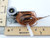 Johnson Controls A19AHC-9 Remote Bulb Temperature -30/180 8' Cap