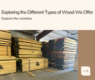 Exploring the Different Types of Wood We Offer