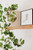 Cherry Butcher Block Floating Shelf