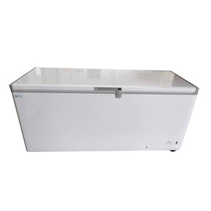 BD-11 | 43' | Chest Freezer