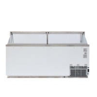 Ice Cream and Gelato Dipping Cases