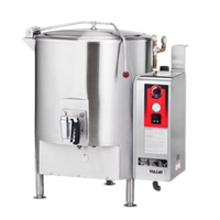 Electric Stationary Kettles