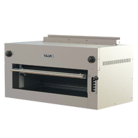 Electric Salamanders