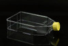 Cell Culture Flask
