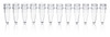 BRAND 781280 PCR Tube Strips, PP, 0.2 ml, standard, transparent