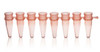 BRAND 781321 PCR Tube Strips, PP, 0.2 ml, standard, pink