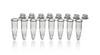 BRAND P1300 PCR Tube Strips, PP, 0.2 ml, standard, clear