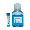 Accuris PR2000-N-50BLK Accuris qMAX Green, No ROX, 5000 reactions (1 x 50 mL)